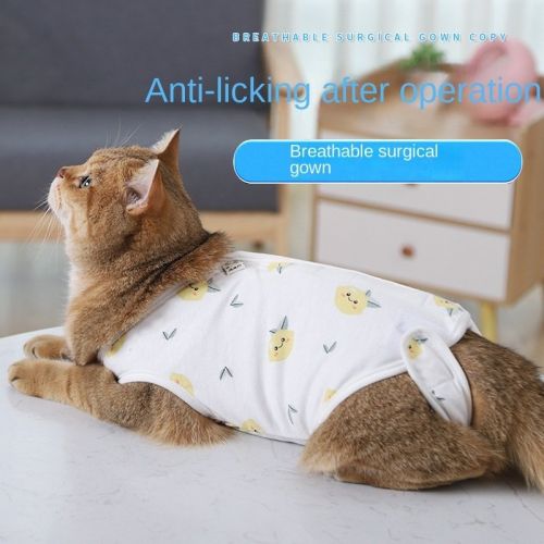 Sterilization clothing for cats in summer, thin female cat surgical clothes, weaning clothing, licking-proof and hair-shedding-proof clothing for cats