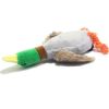 dog toy