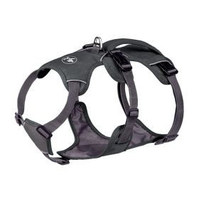 Pet Harness Dog Hand Holding Rope (Option: Gray-S)